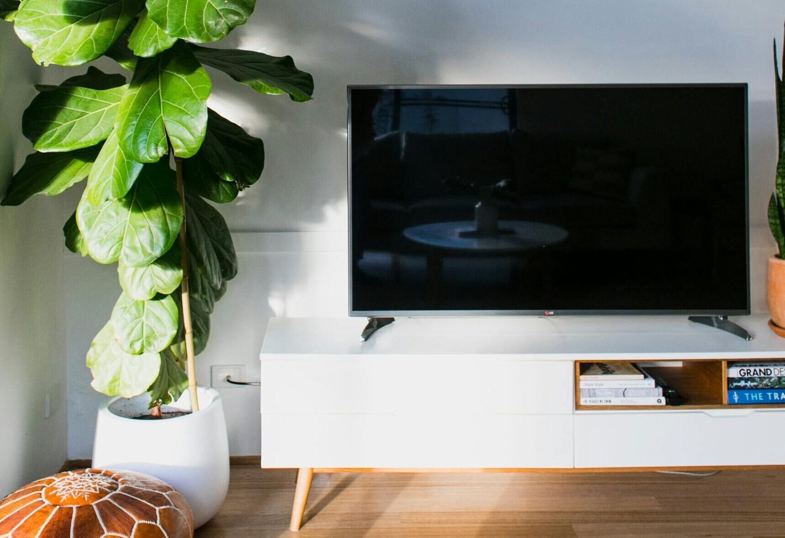 Modern TV placed on white cupboard placed at white wall near potted plant with green leaves in light living room